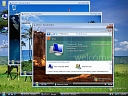 Windows Vista Starter