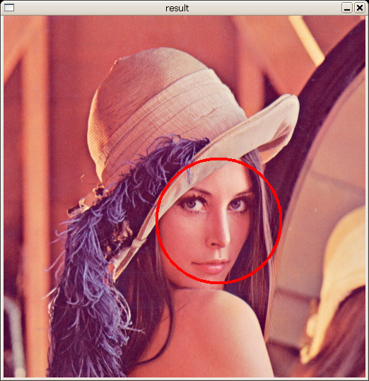 Image:Example-facedetect.png